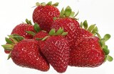 Aktuelles Erdbeeren Angebot bei METRO in Neuss ab 2,88 €