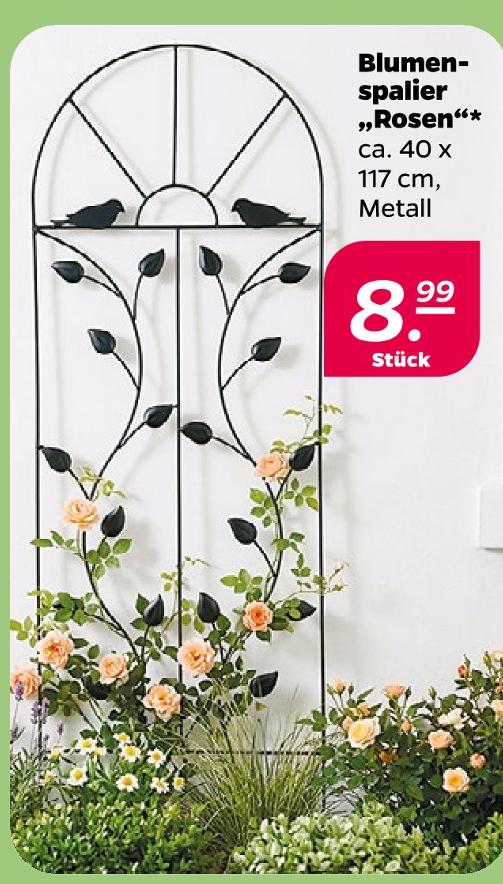 Blumenspalier 'Rosen'