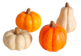 Truffaut La Patte d'Oie - Promo Lot de 4 courges décoratives H. 6,5 cm Promo Lot de 4 courges décoratives H. 6,5 cm à 7,99 € dans le catalogue Truffaut à La Patte d'Oie
