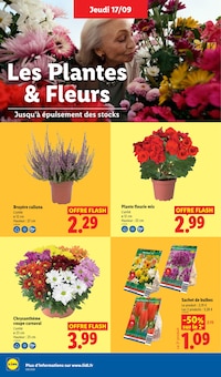 Catalogue Lidl, 17/09/2026 - 23/09/2026, Cap sur l'Italie !, 67 pages Prospectus Lidl en cours, "Cap sur l'Italie !", 67 pages