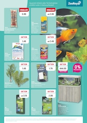 Pflanzen im ZooRoyal Prospekt in Norderstedt Aktueller ZooRoyal Prospekt mit Pflanzen, "LAUB ZUM TOBEN, PREISE ZUM STÖBERN", Seite 7