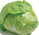 Eisbergsalat im Netto mit dem Scottie Prospekt zum Preis von 1,29 €