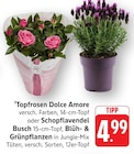 Topfrosen Dolce Amore Angebote bei EDEKA Pforzheim für 4,99 €