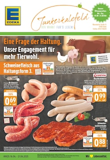 Aktueller EDEKA Prospekt (Oelde) EDEKA Prospekt "Aktuelle Angebote" mit Seiten (Oelde)