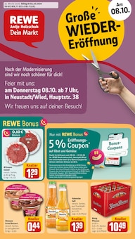 Aktueller REWE Prospekt "Dein Markt" Aktueller REWE Prospekt