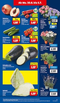 Pflanzen im Lidl Prospekt "LIDL LOHNT SICH" mit 68 Seiten (Augsburg)
