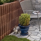 Aktuelles Pflanzstein Ratioflor Angebot bei Hagebaumarkt in Lübeck ab 7,99 €