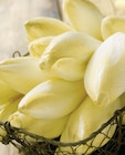 Intermarché Hyper Crest - Promo Endive Promo Endive à 1,99 € dans le catalogue Intermarché Hyper à Crest