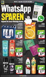 Shampoo im EDEKA Prospekt in Dorsten Aktueller EDEKA Prospekt mit Shampoo, "Aktuelle Angebote", Seite 9