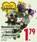 Hornveilchen Trio Angebote bei EDEKA Ravensburg für 1,79 €