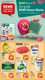 REWE Discounter Prospekt der aktuellen Woche mit 24 Seiten, gültig von 13.10.2025 bis 18.10.2025, in Fuldabrück und Umgebung Aktueller REWE Discounter Prospekt in Fuldabrück und Umgebung, "Dein Markt" mit 24 Seiten, 13.10.2025 - 18.10.2025