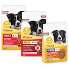 SUR TOUTES LES CROQUETTES POUR CHIEN - CARREFOUR COMPANINO VITALIVE en promo chez Carrefour Caen