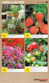 Fleurs en promo dans le catalogue Intermarché Contact à la page 11