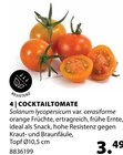 Aktuelle Tomaten Angebote bei Dehner Garten-Center in Duisburg Aktuelles Cocktailtomate Angebot bei Dehner Garten-Center in Duisburg ab 3,49 €