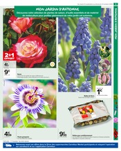 Plantes Angebote im Prospekt "PRÉPAREZ L’AUTOMNE : JARDIN - BRICOLAGE" von Carrefour Market auf Seite 5