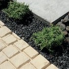 Gravier "Zen" - Jardiland à Garges-lès-Gonesse Gravier "Zen" en promo chez Jardiland Garges-lès-Gonesse à 16,99 €