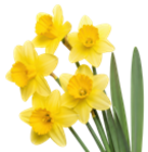 Kaufland Gröbenzell Prospekt mit  im Angebot für 