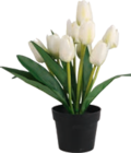 Deko Tulpe im Topf im Angebot bei Möbel AS in Neustadt Deko Tulpe im Topf Angebote bei Möbel AS Neustadt für 6,95 €