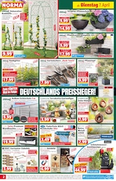 Schnecken Angebot im aktuellen Norma Prospekt auf Seite 2