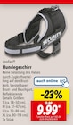Hundegeschirr Angebote von zoofari bei Lidl Bad Oeynhausen für 9,99 €