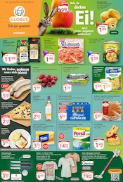 Aktueller GLOBUS Supermarkt Prospekt in Burglengenfeld und Umgebung, "Aktuelle Angebote" mit 31 Seiten, 16.03.2026 - 21.03.2026