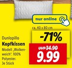 Aktuelle Kopfkissen Angebote bei Lidl in Osnabrück Aktuelles Kopfkissen Angebot bei Lidl in Osnabrück ab 9,99 €