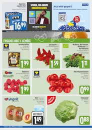 EDEKA Blattspinat im Prospekt EDEKA Blattspinat im Prospekt