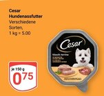 Hundenassfutter bei GLOBUS im Prospekt "" für 0,75 €