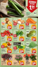 Limetten Angebot & Preis im aktuellen REWE Prospekt Limetten Angebot im aktuellen REWE Prospekt auf Seite 7