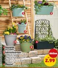 Aktuelles Pflanzgefäß mit Pergola Angebot bei Penny in Magdeburg ab 2,99 €