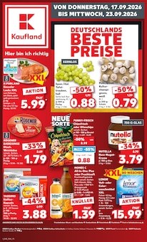 Waschmittel im Kaufland Prospekt "Hier bin ich richtig" mit 78 Seiten (Cottbus)