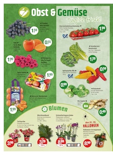 Ingwer im aktuellen V-Markt Prospekt (München) Ingwer im V-Markt Prospekt "V-Markt einfach besser einkaufen" mit 26 Seiten (München)