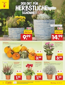 Smartphone im Netto Marken-Discount Prospekt "Aktuelle Angebote" mit 65 Seiten (Moers)