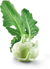 Kohlrabi im Angebot bei Netto Marken-Discount in Hamburg Kohlrabi Angebote von Heimat bei Netto Marken-Discount Hamburg für 1,00 €