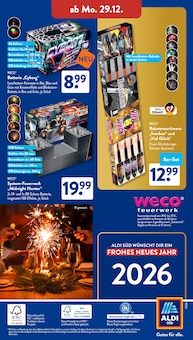 Feuerwerk im ALDI SÜD Prospekt "Gutes für Alle." mit 42 Seiten (Ingolstadt)