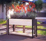 Hochbeet »Modernbox High M« für 129,00 € bei Pflanzen Kölle im Angebot Hochbeet »Modernbox High M« im aktuellen Pflanzen Kölle Prospekt