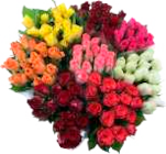 Helleborus "Christrosen" oder Rosen im Angebot bei EDEKA in Stade Helleborus "Christrosen" oder Rosen Angebote von EDEKA bei EDEKA Stade für 3,49 €