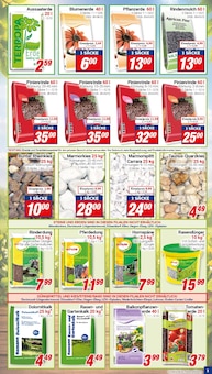 Tomaten im CENTERSHOP Prospekt "Da geht was." mit 20 Seiten (Duisburg)