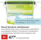 Mineral-Wandfarbe „Wohlfühlweiss“ von Schöner Wohnen im aktuellen Hellweg Prospekt
