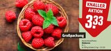 Himbeeren im Angebot bei REWE in Hannover Himbeeren Angebote bei REWE Hannover für 3,33 €