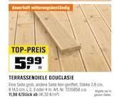 TERRASSENDIELE DOUGLASIE Angebote bei OBI Saarbrücken für 5,99 €