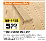 TERRASSENDIELE DOUGLASIE bei OBI im Bamberg Prospekt für 5,99 €