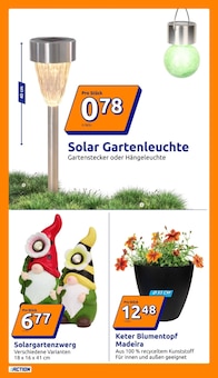 Blumentopf im Action Prospekt "Wochenangebote" mit 32 Seiten (Bielefeld)