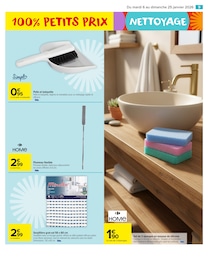 Offre Plumeau dans le catalogue Carrefour Market du moment à la page 9