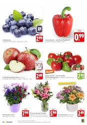 Aktueller EDEKA Prospekt mit Bio, "Aktuelle Angebote", Seite 3