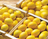 Citron Jaune à Netto dans Champcueil