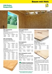Dachplatten Angebote im Prospekt "Holz- & Baukatalog 2023/24" von Holz Possling auf Seite 57