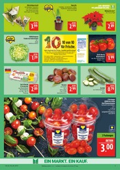 Garten im Marktkauf Prospekt in Plauen Aktueller Marktkauf Prospekt mit Garten, "AUSWAHL RIESIG, PREISE NIEDRIG", Seite 9