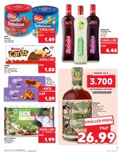 Aktueller Kaufland Prospekt mit Garten, "KNÜLLER", Seite 16