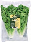Mini Romana Salatherzen im Angebot bei EDEKA in Stade Mini Romana Salatherzen Angebote von Unsere Heimat bei EDEKA Stade für 1,49 €